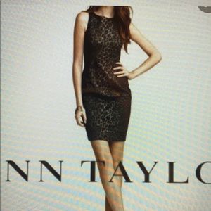 Ann Taylor Leopard Print Sheath Dress